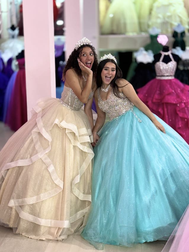 mis fabulosos quince rosario